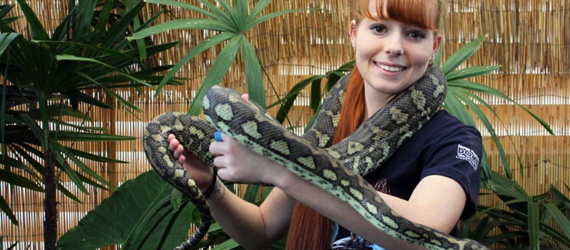 cairns-wildlife-dome